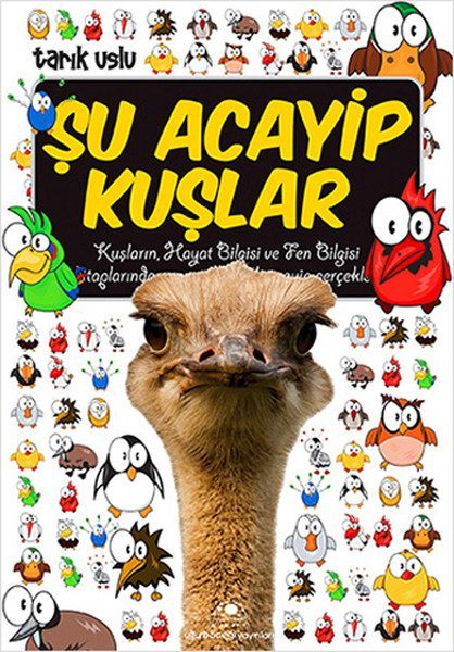 Şu Acayip Kuşlar  (4022)