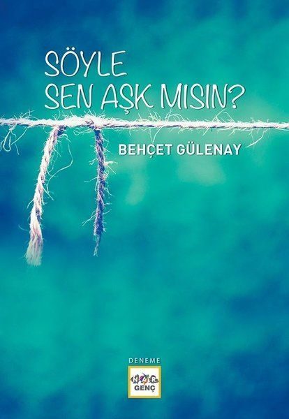 Söyle Sen Aşk mısın?  (4022)