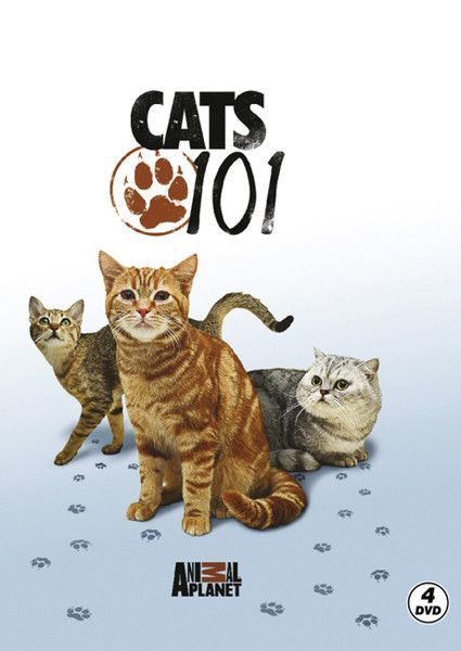 Cats 101 - Kediler  (4022)