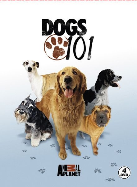 Dogs 101 - Köpekler  (4022)