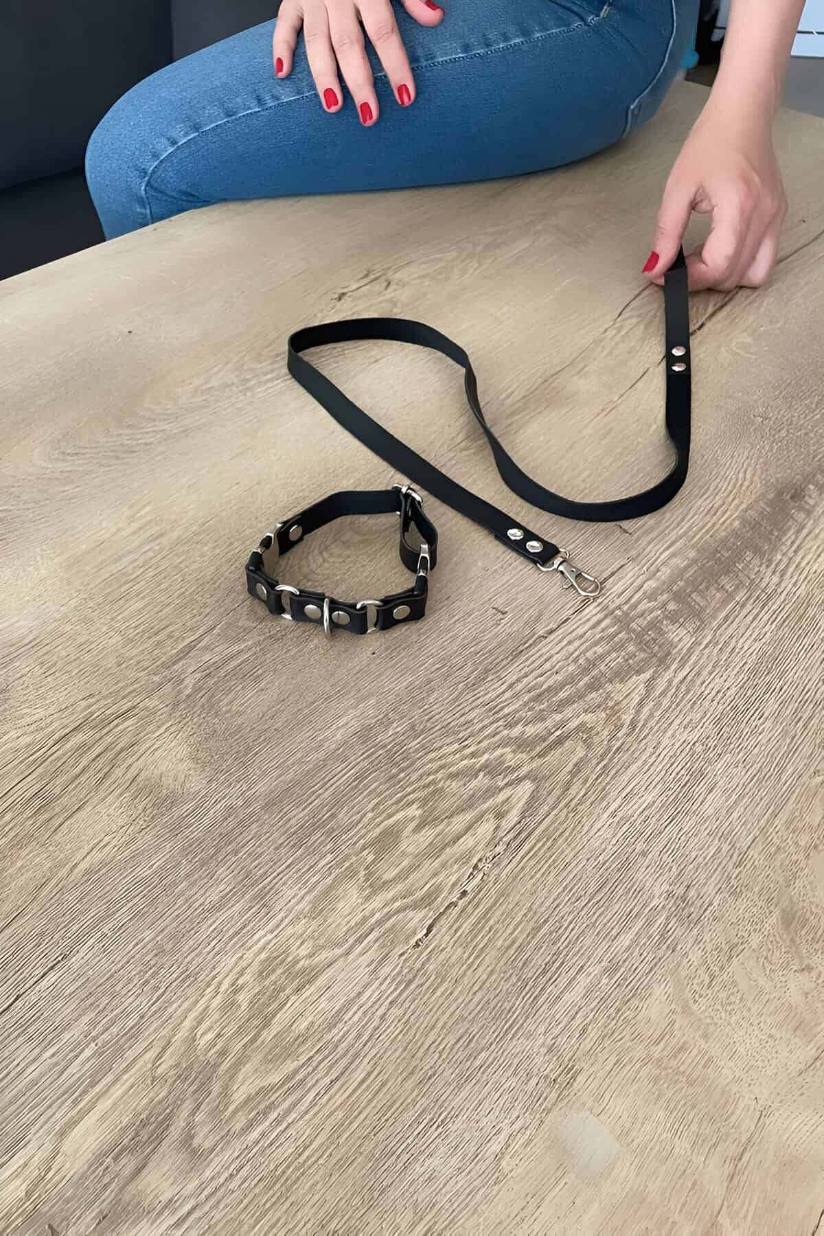 CLZ41 Kedi Harness , Gezdirme Ve Boyun Tasması - Ürün Rengi:Siyah