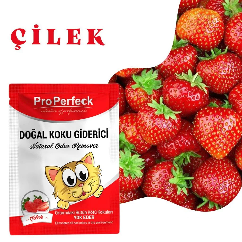 CLZ205 Pro Perfeck Çilek Kokulu Koku Giderici 25 gr