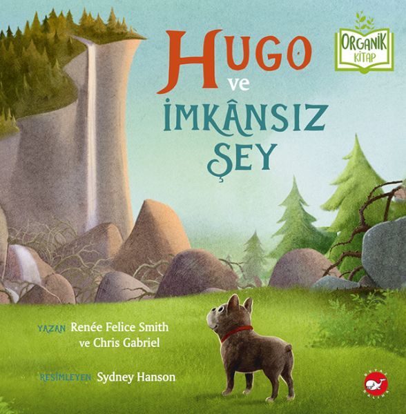 Hugo ve İmkânsız Şey - Organik Kitaplar  (4022)