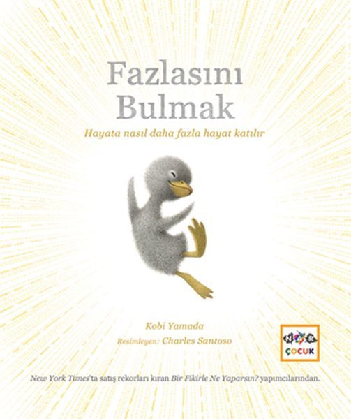 Fazlasını Bulmak  (4022)