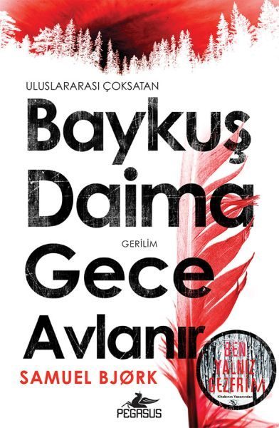 Baykuş Daima Gece Avlanır  (4022)