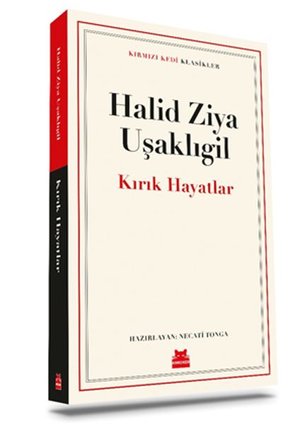 Kırık Hayatlar  (4022)