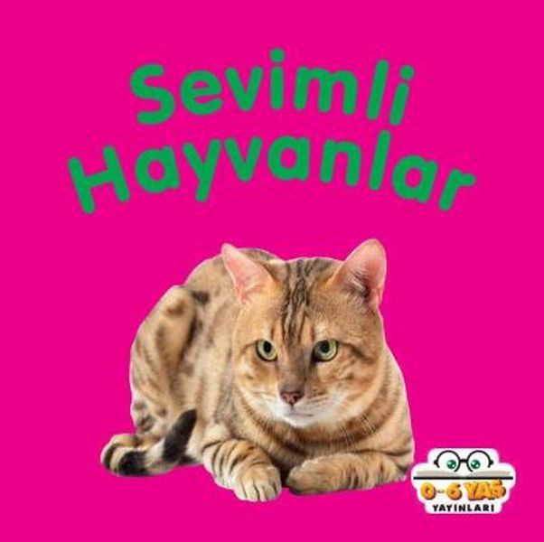 Sevimli Hayvanlar - Mini Karton Kitaplar  (4022)