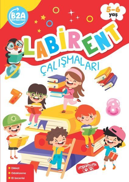 Labirent Çalışmaları  (4022)