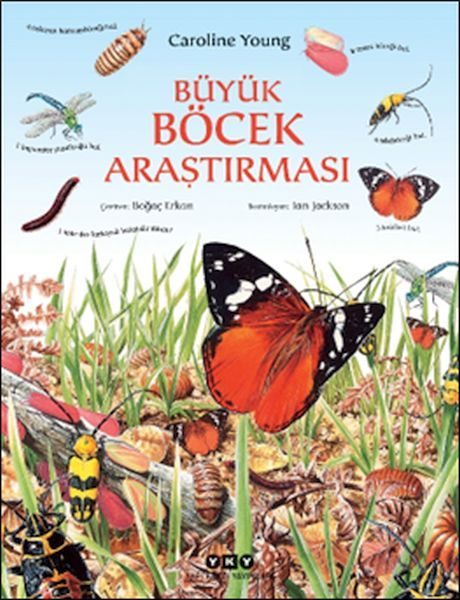 Büyük Böcek Araştırması  (4022)