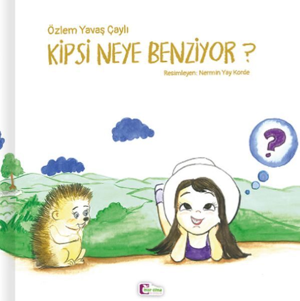 Kipsi Neye Benziyor?  (4022)