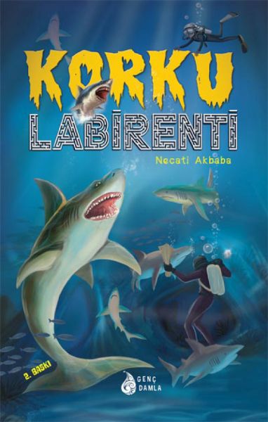 Korku Labirenti  (4022)