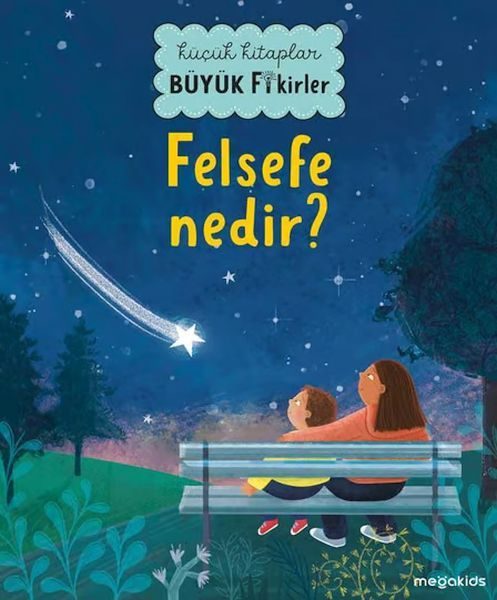 Küçük Kitaplar Büyük Fikirler - Felsefe Nedir?  (4022)