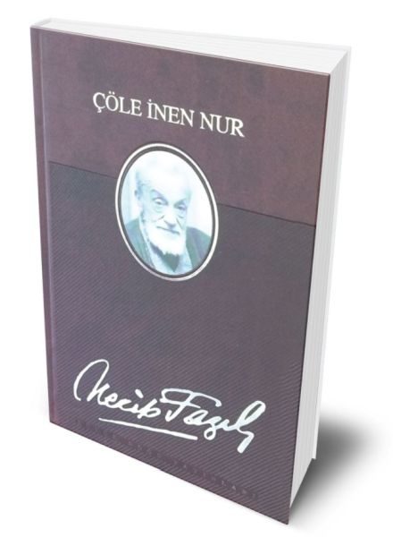 Çöle İnen Nur (Deri Ciltli)  (4022)