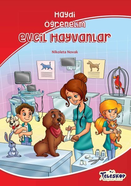 Evcil Hayvanlar - Haydi Öğrenelim  (4022)