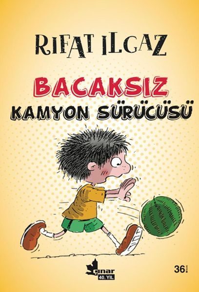 Bacaksız Kamyon Sürücüsü  (4022)