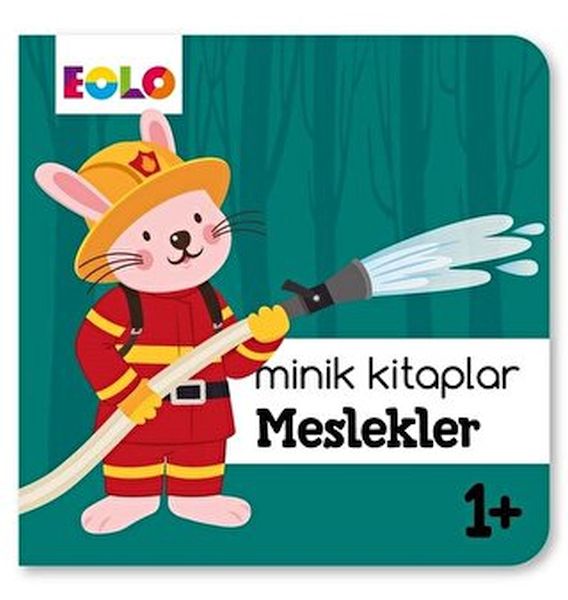 Minik Kitaplar - Meslekler  (4022)