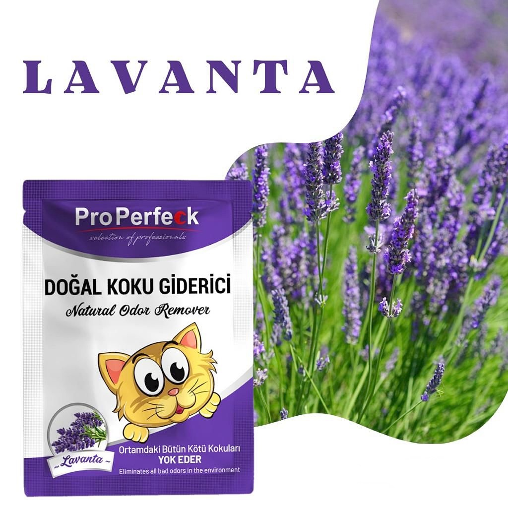 CLZ205 Pro Perfeck Lavanta Kokulu Koku Giderici 25 gr