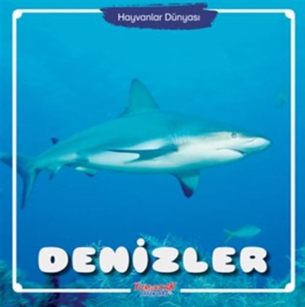 Denizler - Hayvanlar Dünyası  (4022)