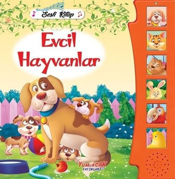 Evcil Hayvanlar - Sesli Kitap  (4022)