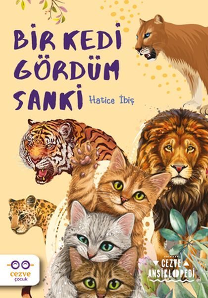 Bir Kedi Gördüm Sanki  (4022)