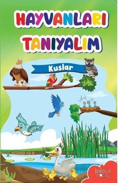 Muhteşem Çizimler ve Kolay Anlatım ile Hayvanları Tanıyalım Kuşlar  (4022)