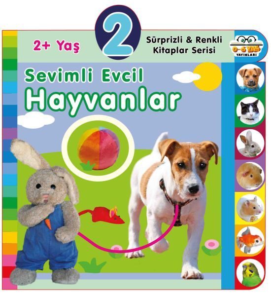 Yaş Sevimli Evcil Hayvanlar (2+Yaş)  (4022)