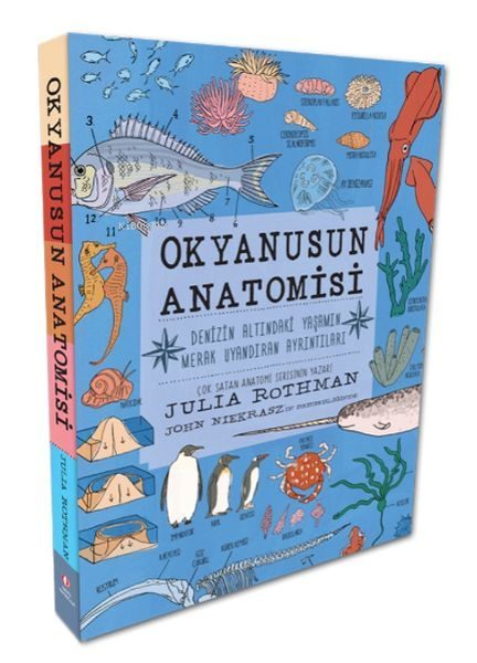 Okyanusun Anatomisi  (4022)