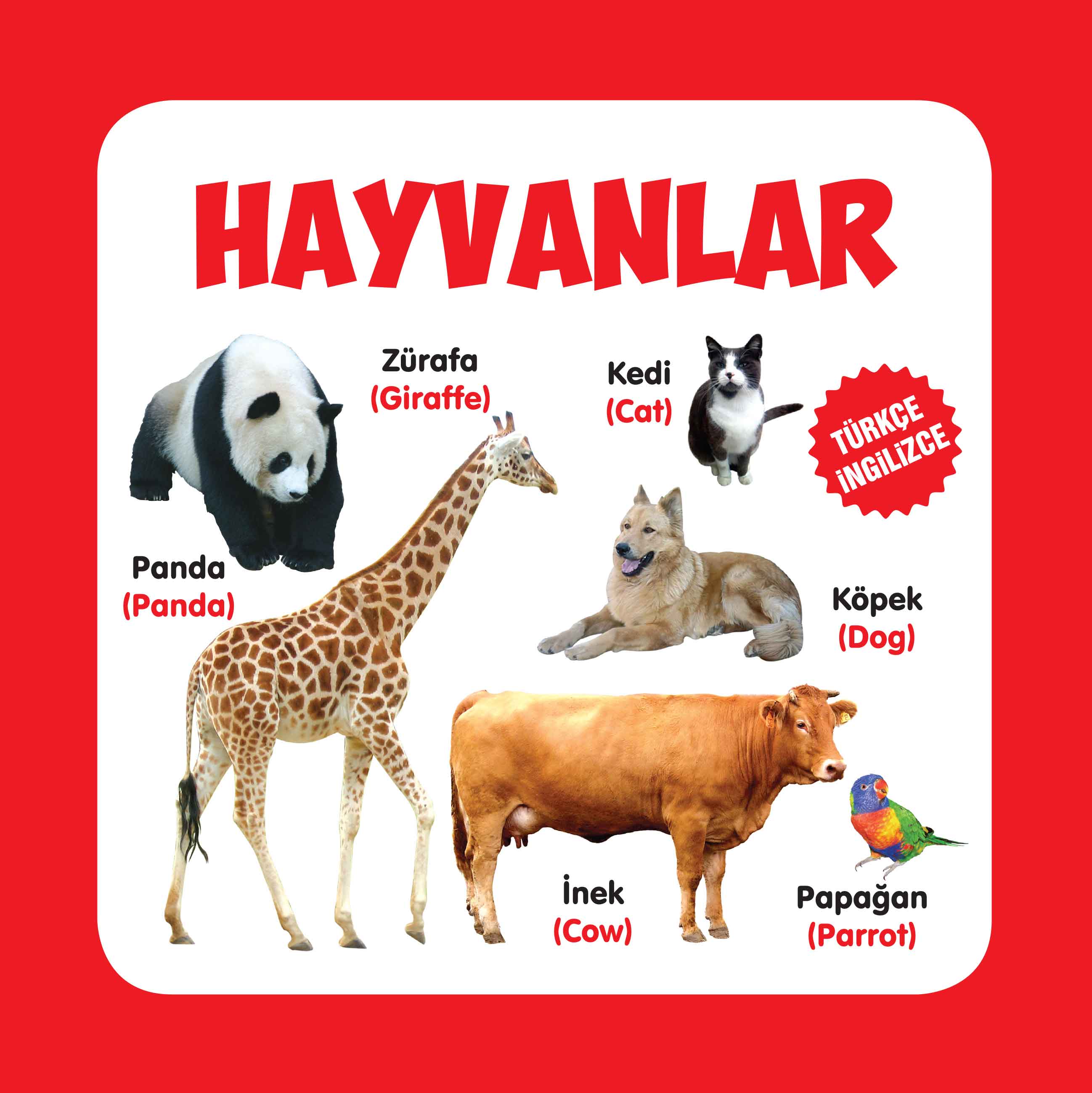 Hayvanlar Türkçe-İngilizce  (4022)