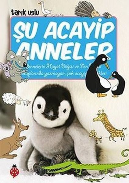 Şu Acayip Anneler  (4022)