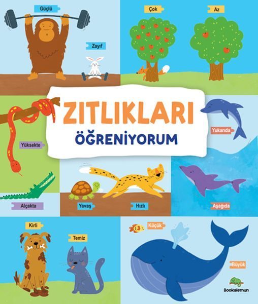 Zıtlıkları Öğreniyorum  (4022)