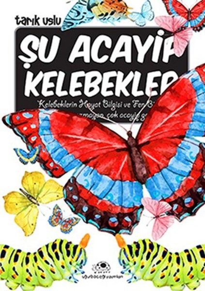 Şu Acayip Kelebekler  (4022)