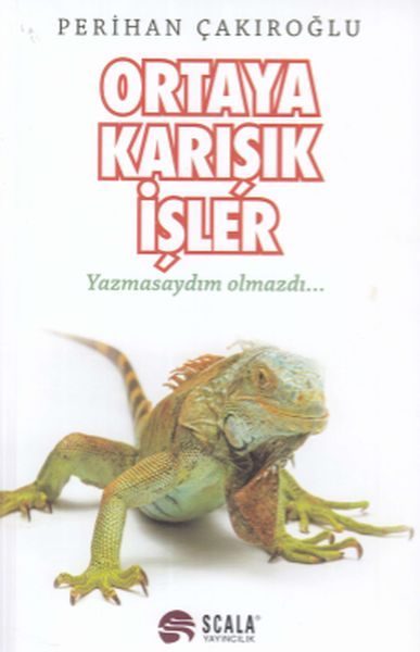 Ortaya Karışık İşler  (4022)