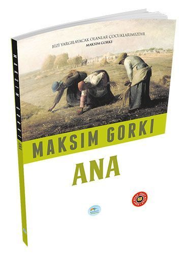 Özet Kitap - Ana  (4022)