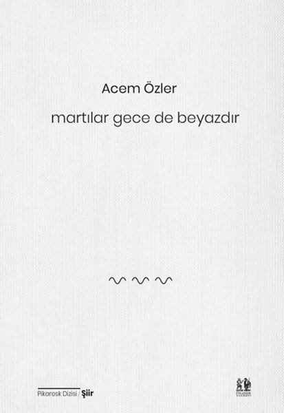 Martılar Gece de Beyazdır  (4022)