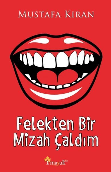 Felekten Bir Mizah Çaldım  (4022)