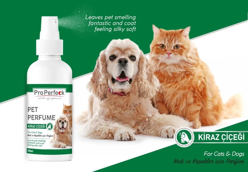 CLZ205 Pro Perfeck Kedi Ve Köpek Kiraz Çiçeği Parfüm 100 ml