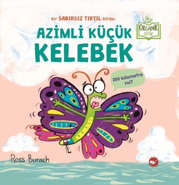 Azimli Küçük Kelebek  (4022)