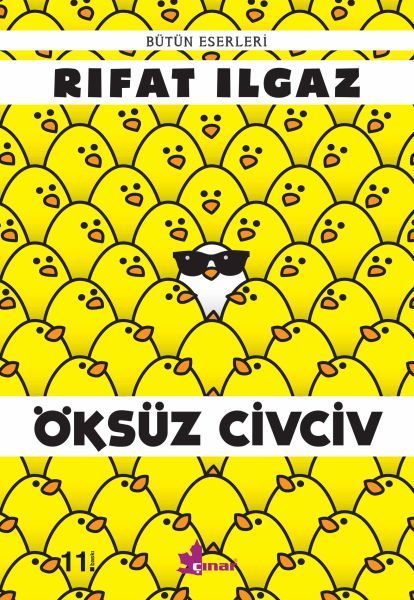 Öksüz Civciv  (4022)