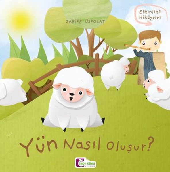 Oluşum Hikayeleri - Yün nasıl oluşur?  (4022)