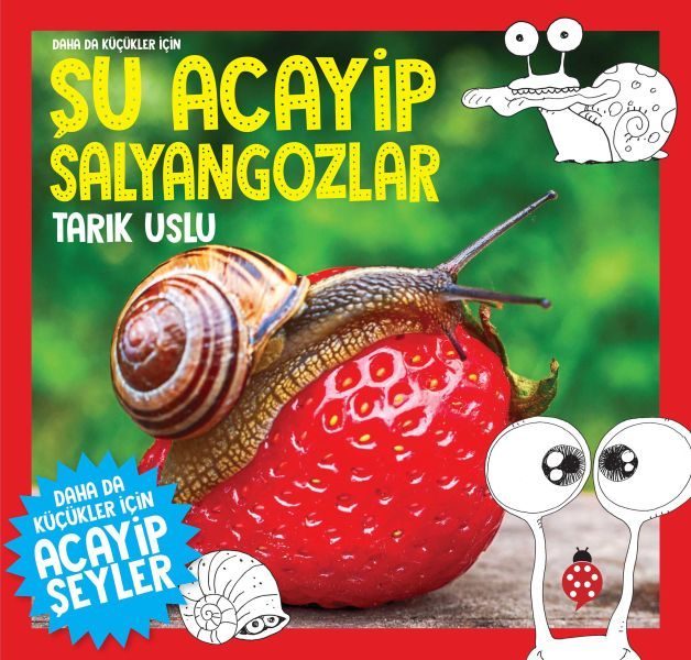 Daha Küçükler İçin Şu Acayip Salyangozlar  (4022)