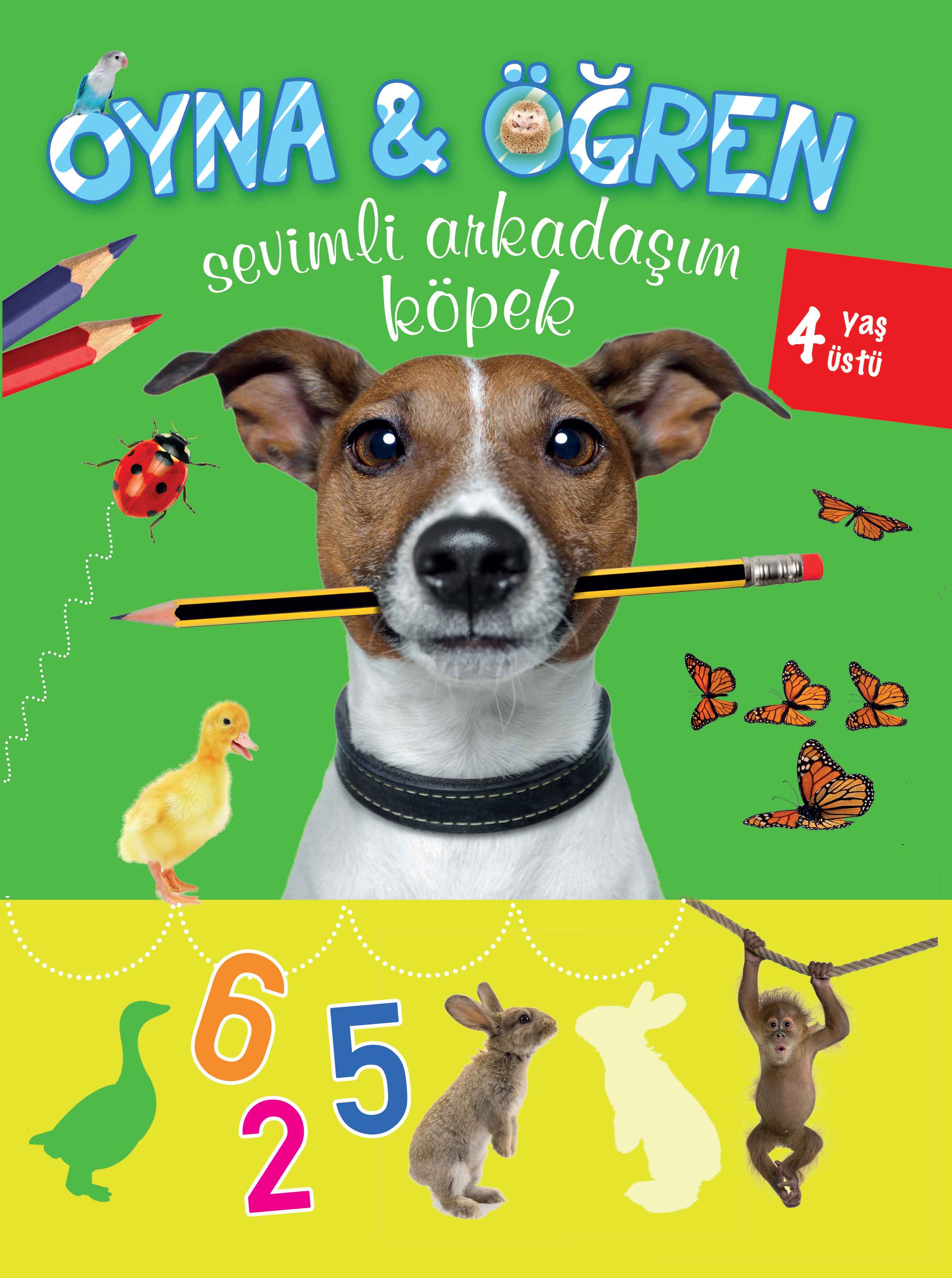 Oyna Öğren Sevimli Arkadaşım Köpek 4 Yaş Üstü  (4022)