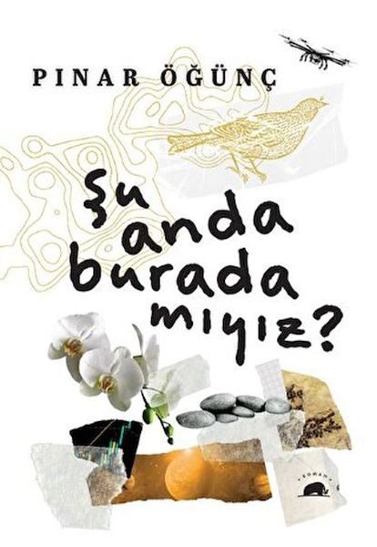 Şu Anda Burada Mıyız?  (4022)