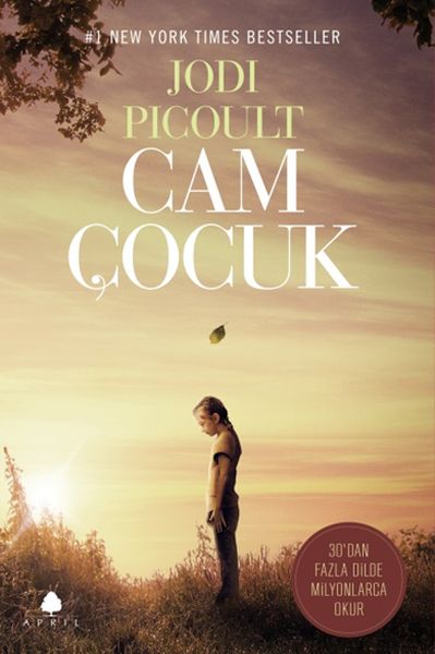 Cam Çocuk  (4022)