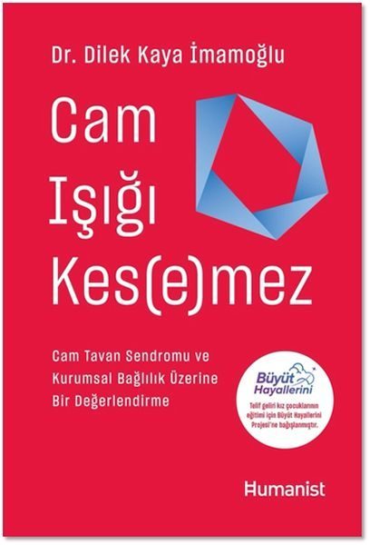 Cam Işığı Kesemez  (4022)