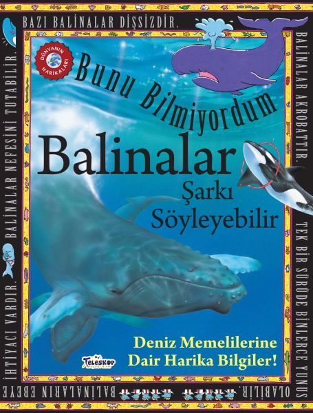 Balinalar Şarkı Söyleyebilir - Bunu Bilmiyordum - Deniz Memelilerine Dair Harika Bilgiler!  (4022)