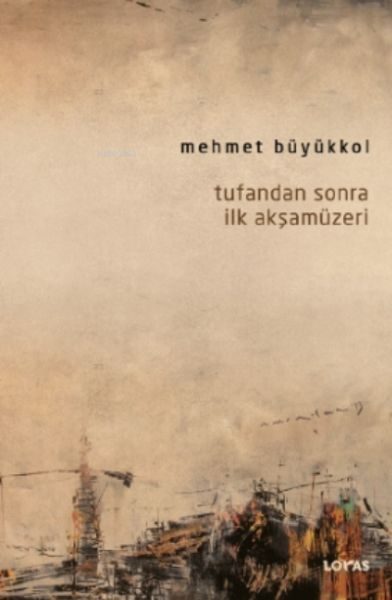 Tufandan Sonra İlk Akşamüzeri  (4022)