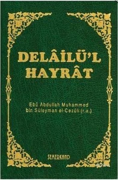 Delailü'l Hayrat (Mini Boy-Kılıflı)  (4022)