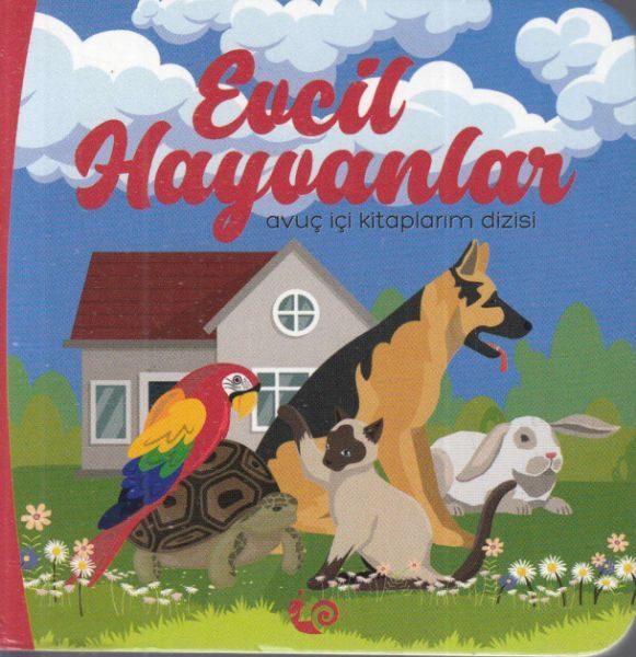 Evcil Hayvanlar - Avuç İçi Kitaplarım Dizisi  (4022)