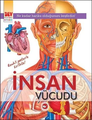 Dev Posterli Kitabım - İnsan Vücudu  (4022)