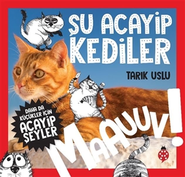 Daha Küçükler İçin Şu Acayip Kediler  (4022)